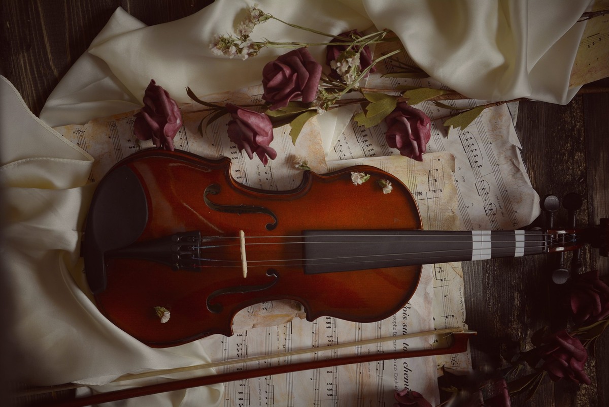    Фото: freepik.com