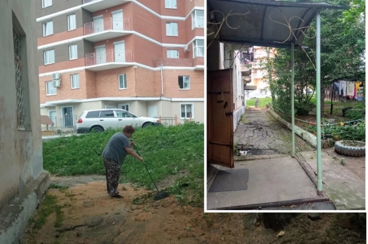    Вселили надежду.