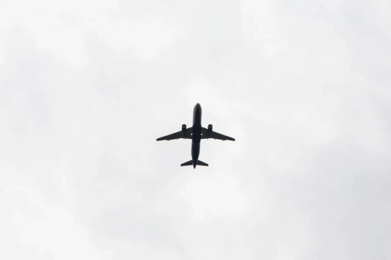    Фото: Общественная Служба Новостей Софья Чулкова