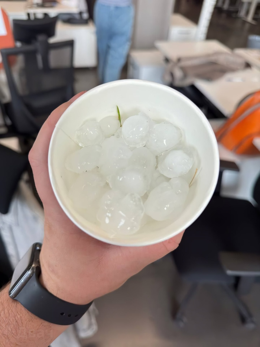 Из телеграм-канала