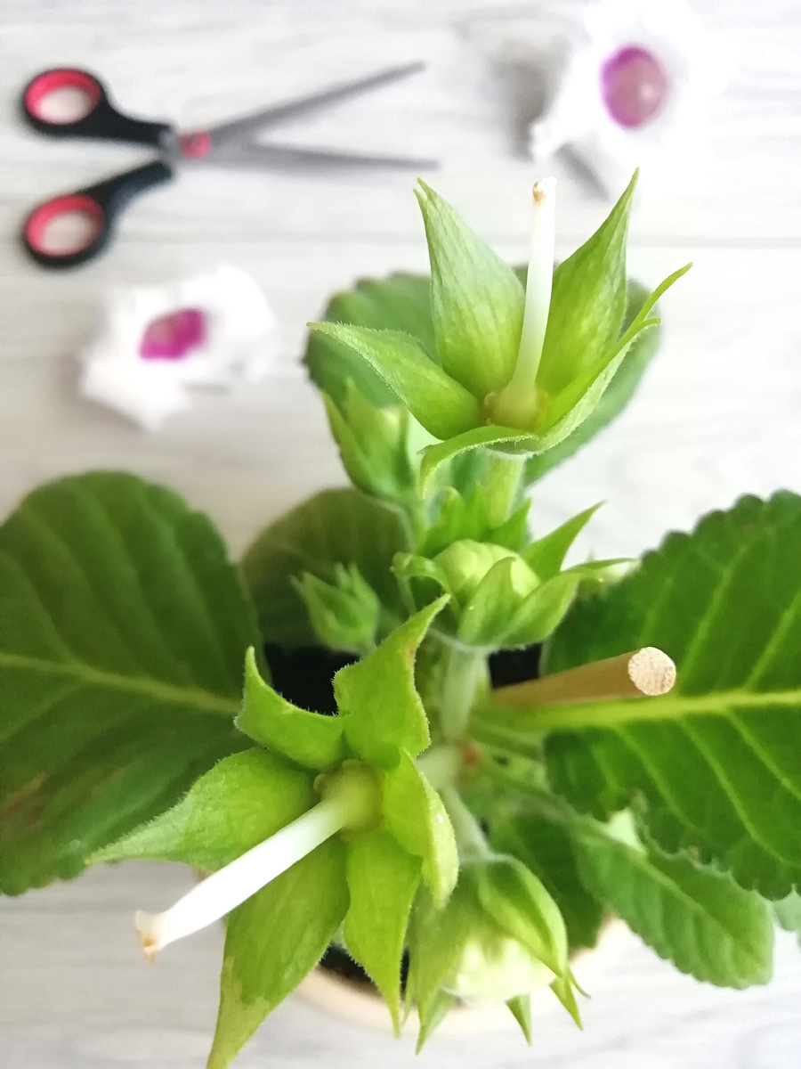 М-да, недолго любовалась красотой