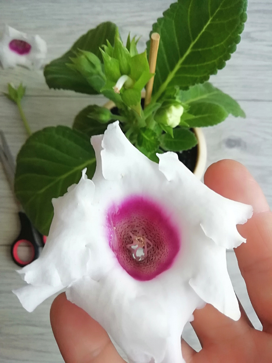 Просто взял и отвалился🤔