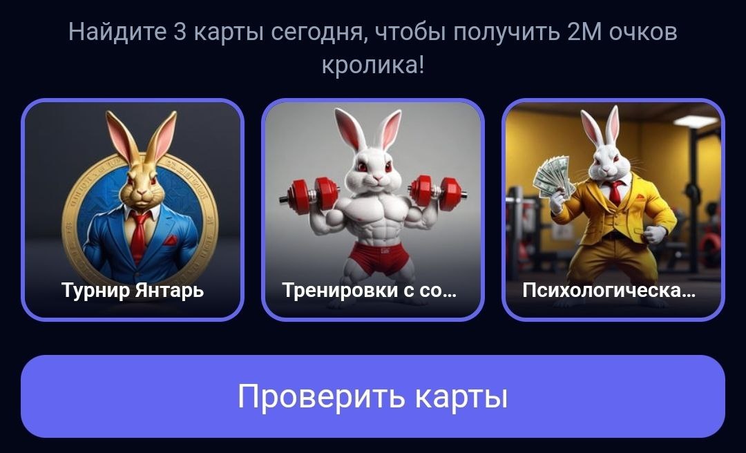 Rocky rabbit карты на сегодня