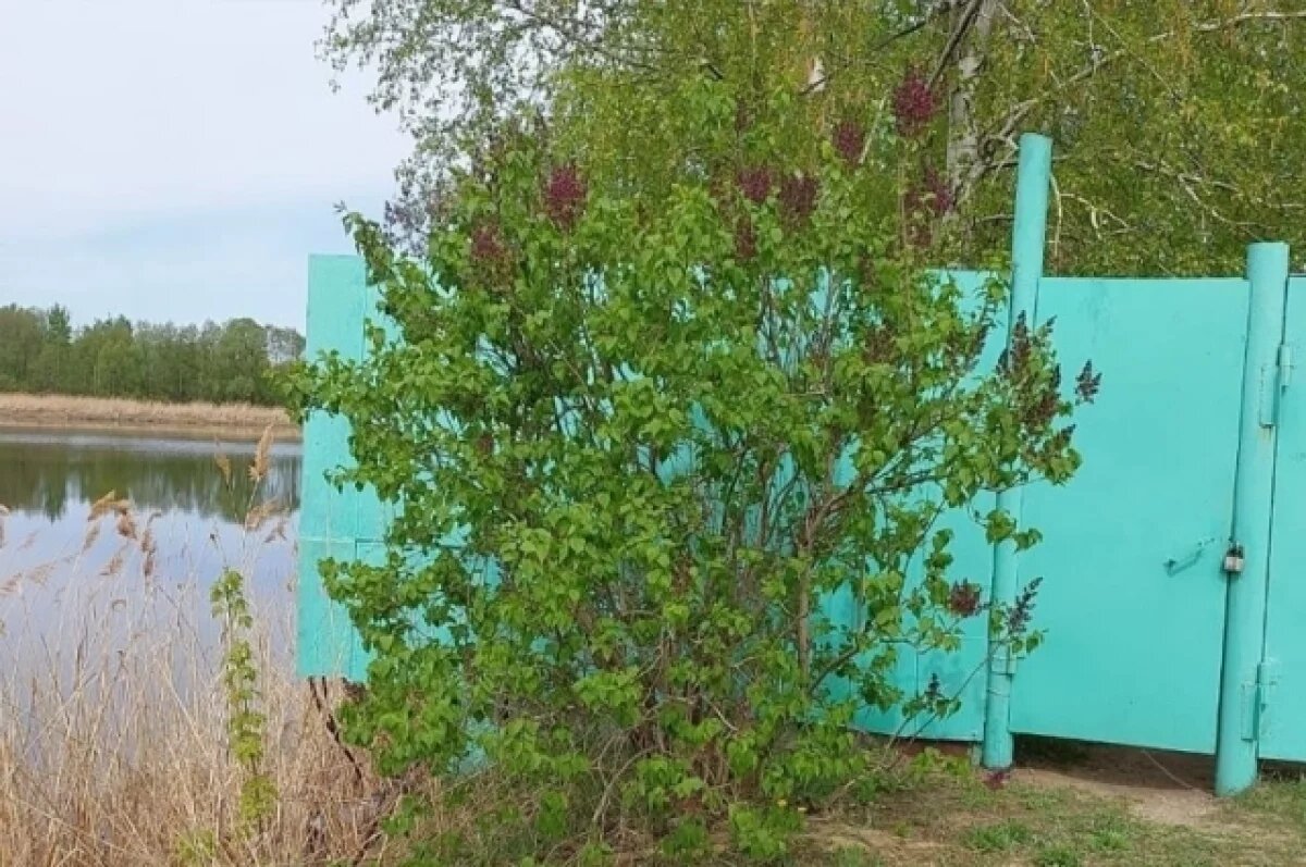    Тамбовская прокуратура требует убрать забор на берегу Цны