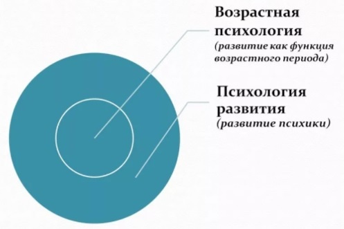 Соотношение психологии развития и возрастной психологии