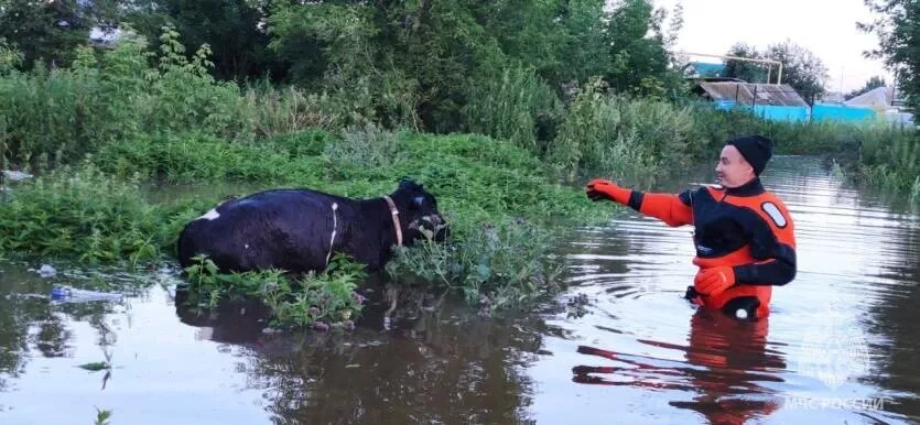 Фото: ГУ МЧС России по Челябинской области