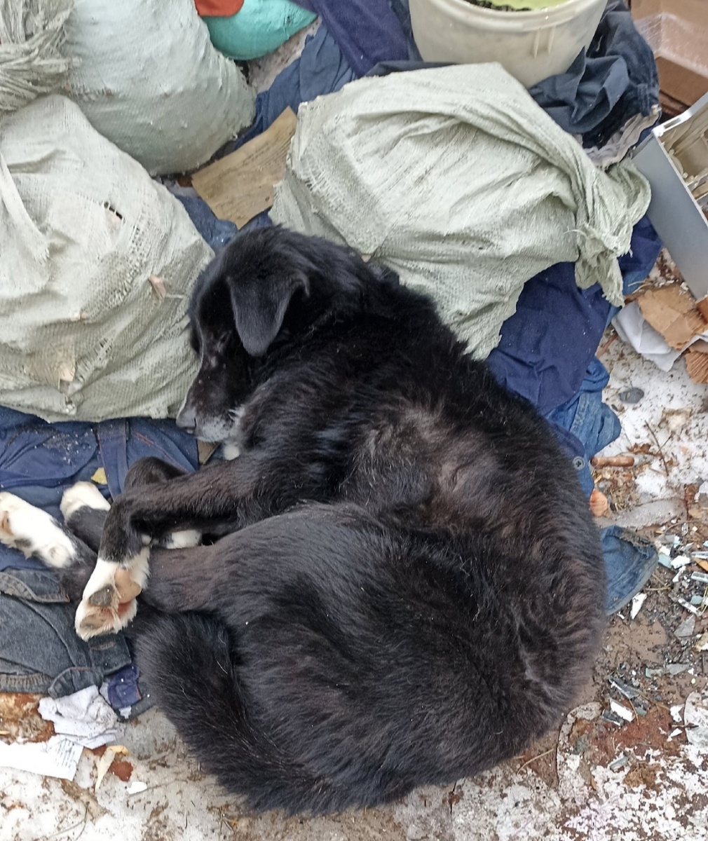 Как человек без определённого места жительства.