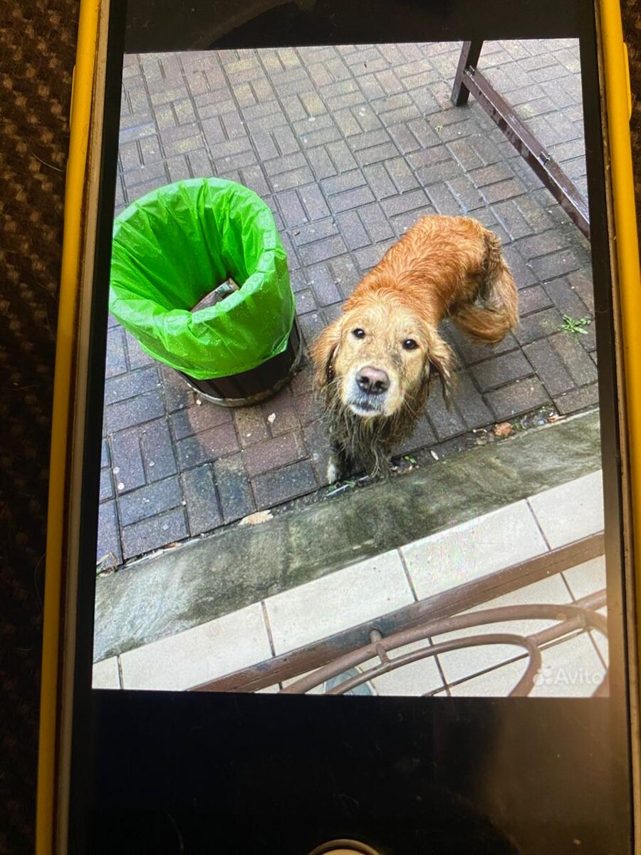 Вот такие фото увидела наша подруга