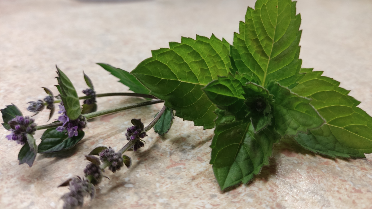 Любимая пряность теперь под запретом?