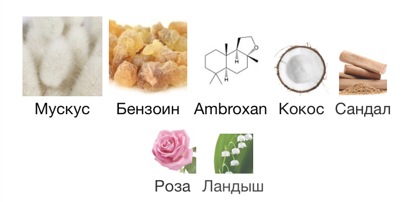 Amber Musk Aerin Пирамида