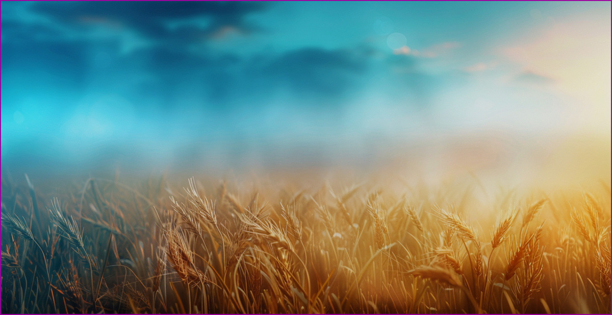 Обряды на Ламмас были связаны с водой. Часто ритуалы проводились в реке или озере. Вся вода на Ламмас, включая дождь, считалась священной и обладала защитными свойствами.