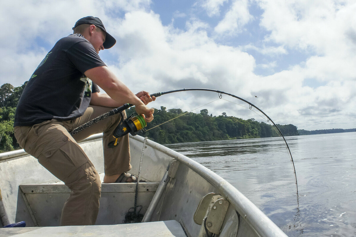 Удилище для ловли сома