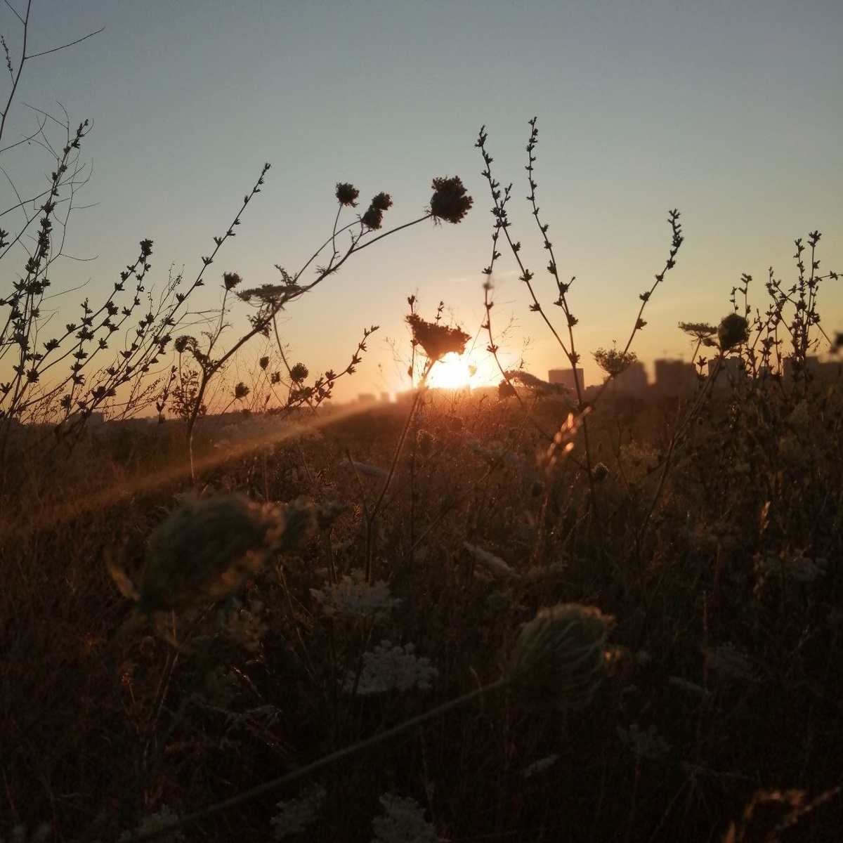 Солнце вылезло из под одеялка. 