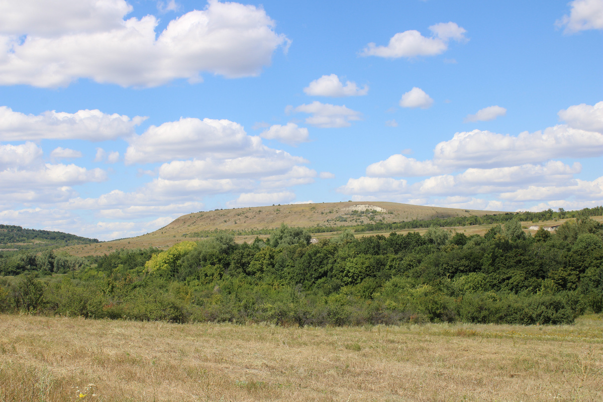 Буданова гора