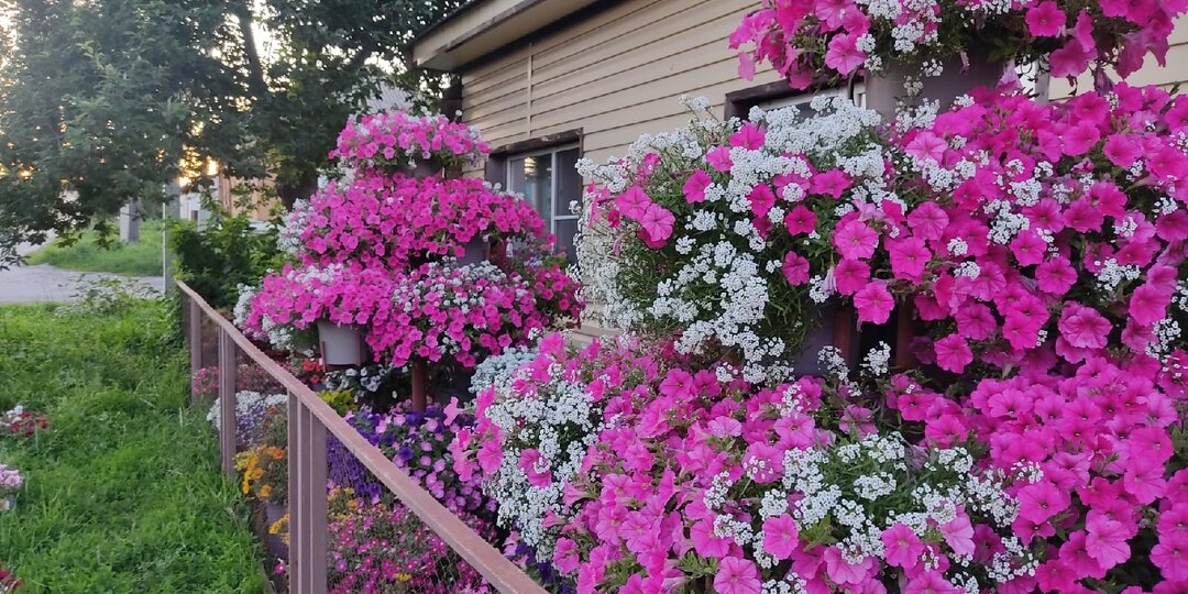 Никогда не сомневайтесь, просто делайте!