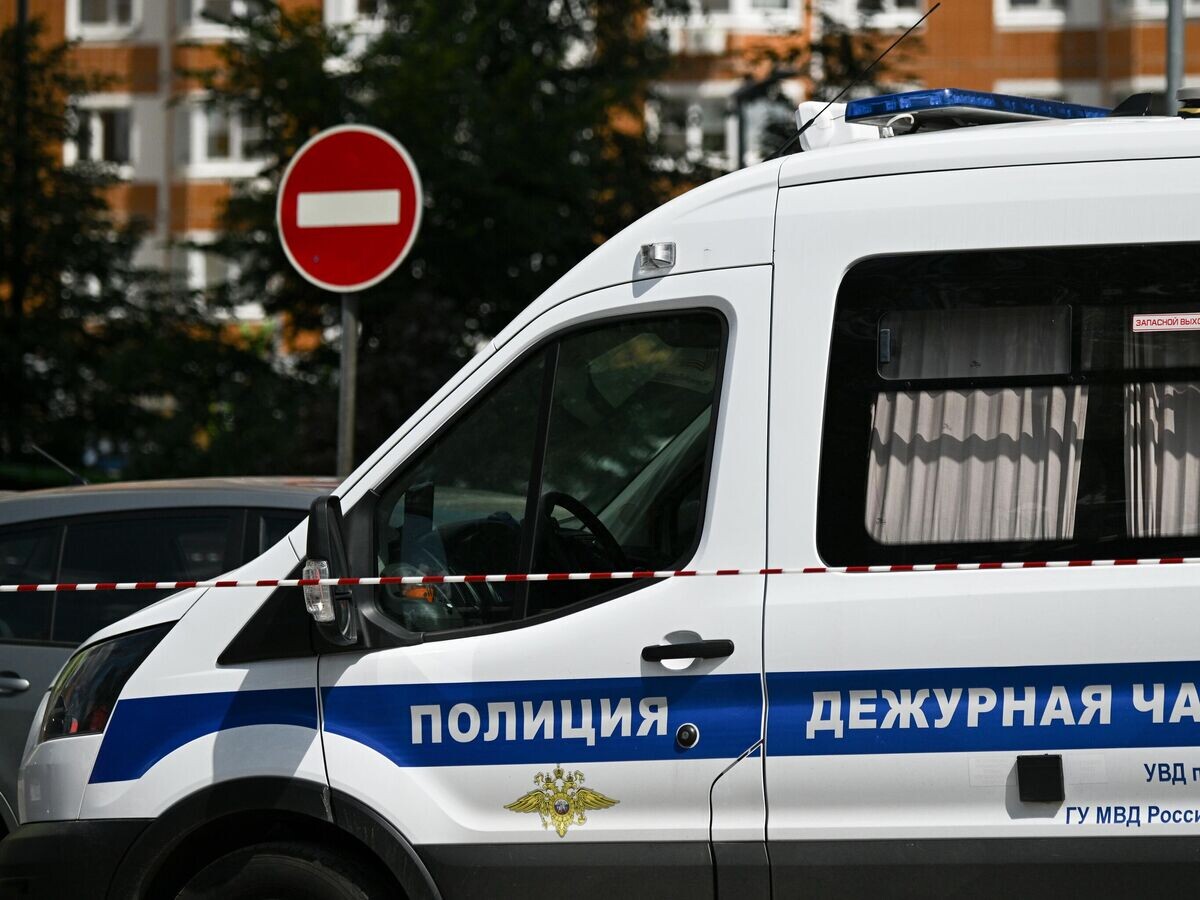    Автомобиль полиции в Москве© РИА Новости / Сергей Бобылев