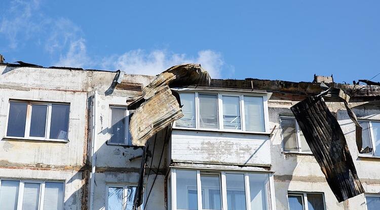 Фото: Елена Журавлёва