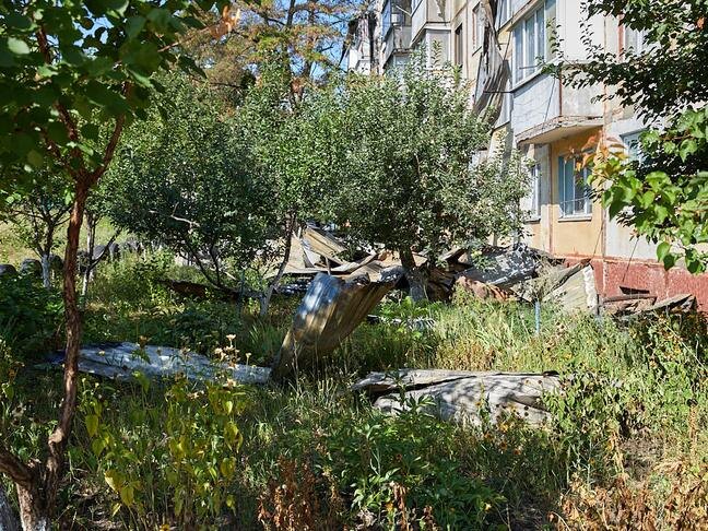 Фото: Елена Журавлёва