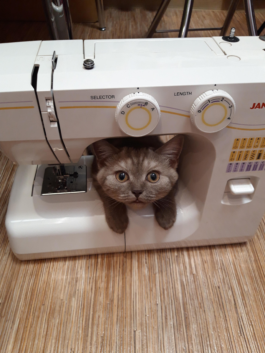 Та самая машинка и моя помощница.