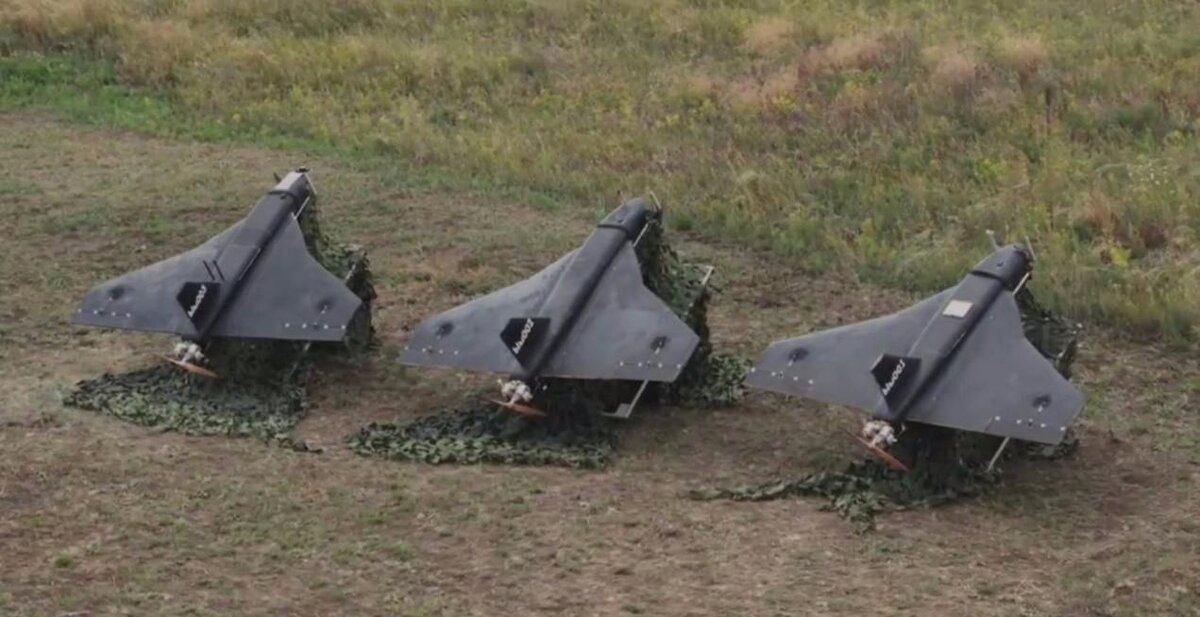 Фото: соцсети