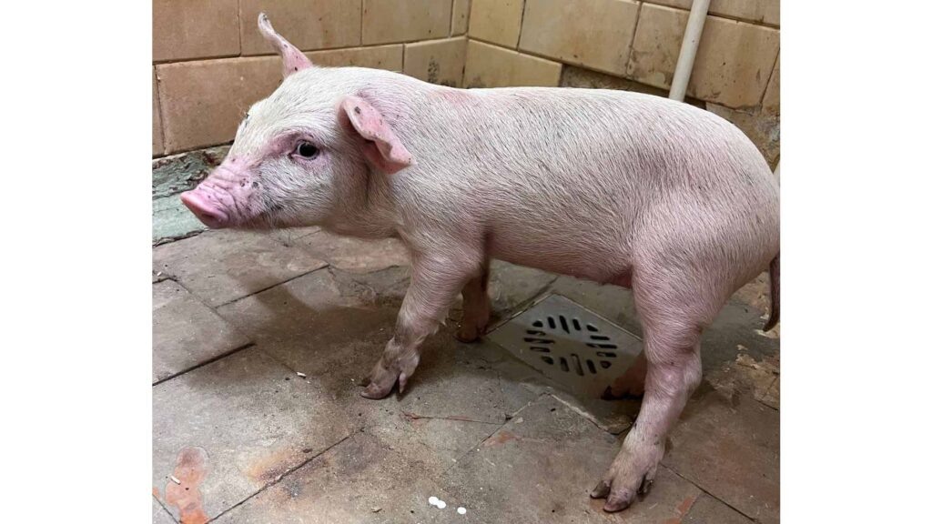    Фото: ryazpressa.ru/