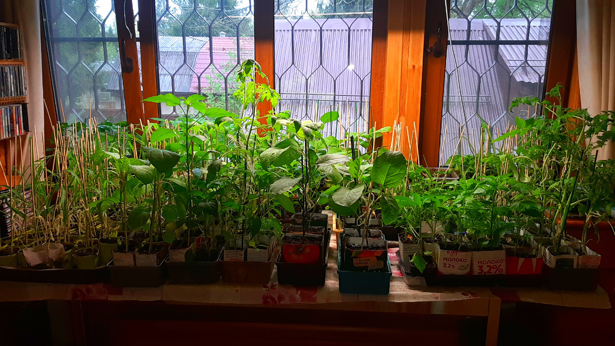 Фото автора. 