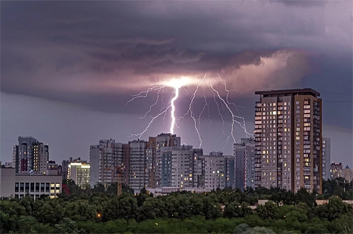    Спасение — в клетке Фарадея.