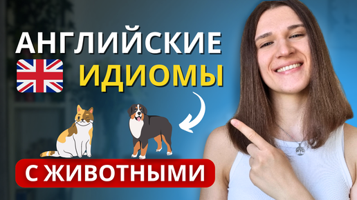 ТОП 10 Английских Идиом с Животными