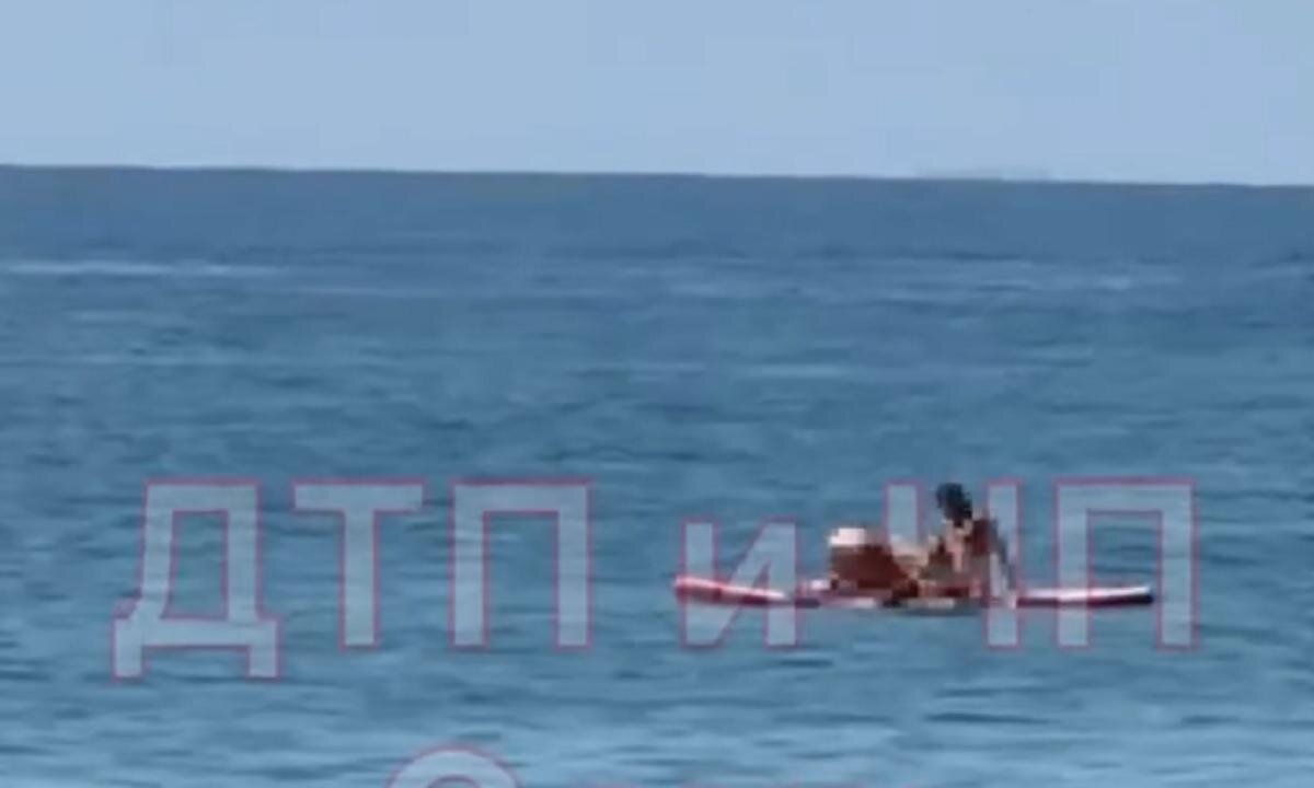 Скрин с видео. 