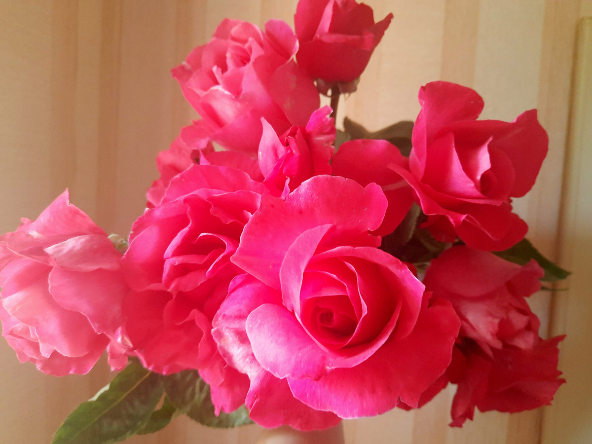 из личных архивов