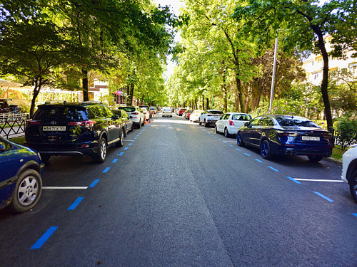    Фото: пресс-служба администрации Сочи