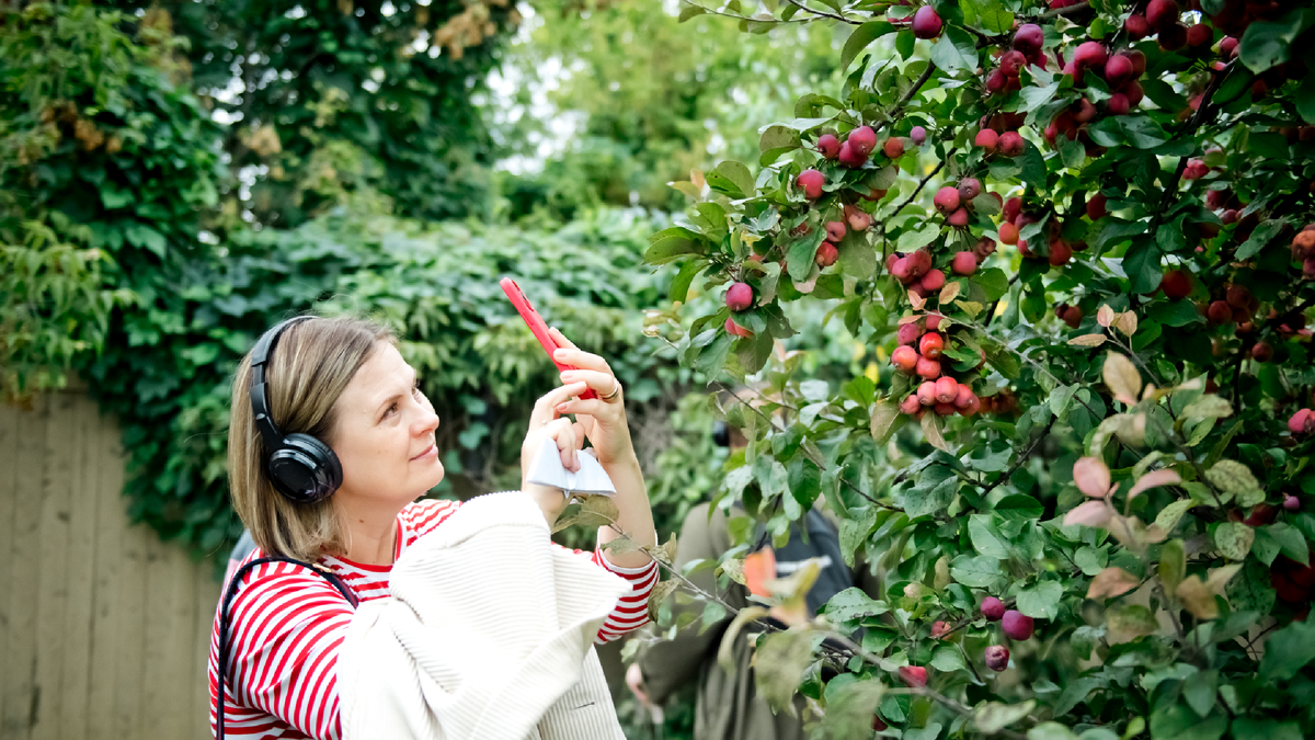 Фотографии предоставлены пресс-службой музейного кластера "Коломенский посад". Фотографы: Катерина Костомарова, Анастасия Замятина Международный яблочно-книжный фестиваль в Коломне