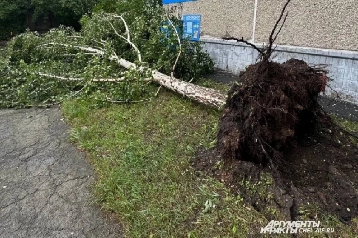    Челябинцы выкладывают фотографии последствий стихии.