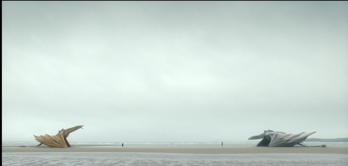 Кадр из серии, драконы вполне крупные