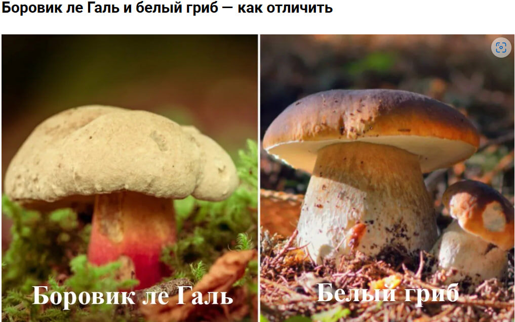    СКРИНШОТ: LIFE.RU