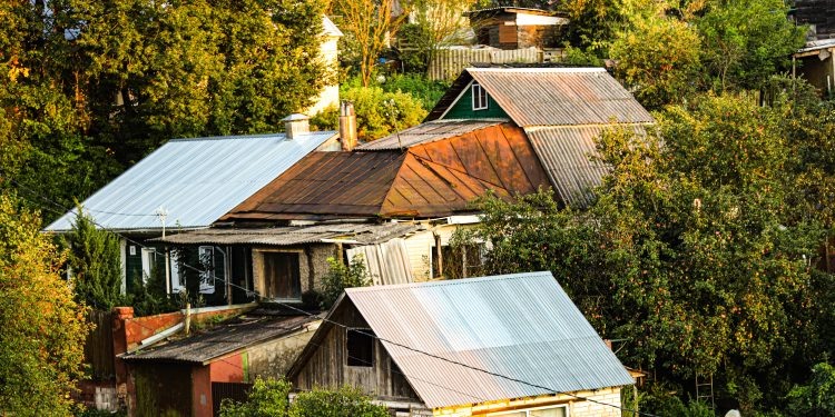    Илья Тушев / Вести Подмосковья