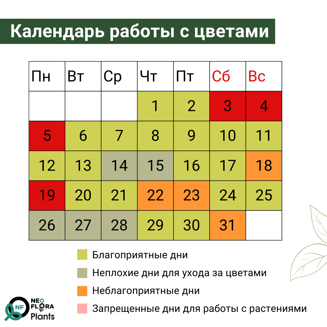 Лунный календарь посадок: верить или не верить?