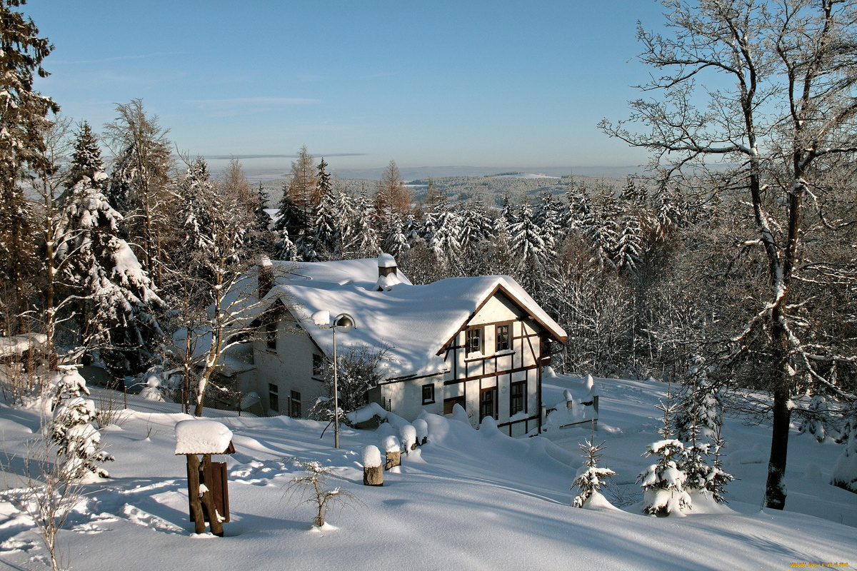 Яндекс-картинки