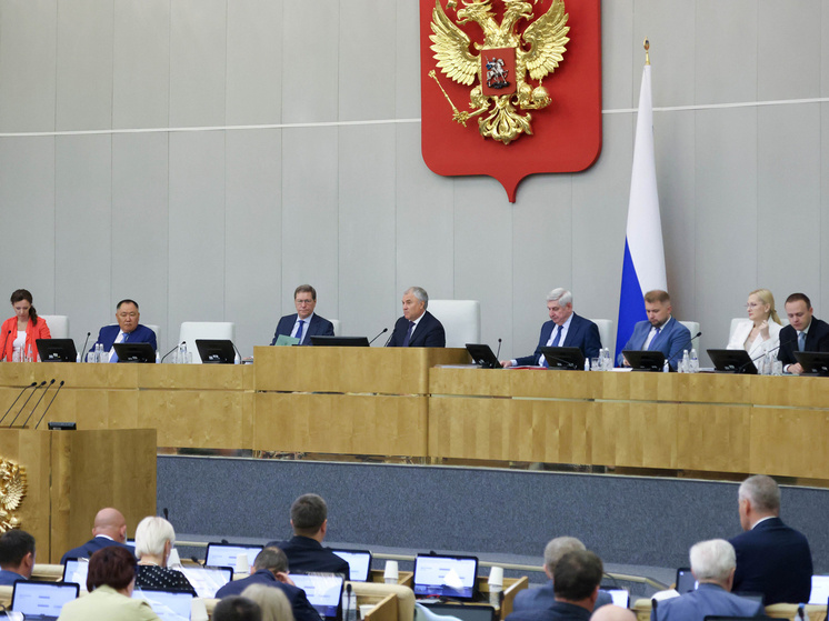 Фото: duma.gov.ru