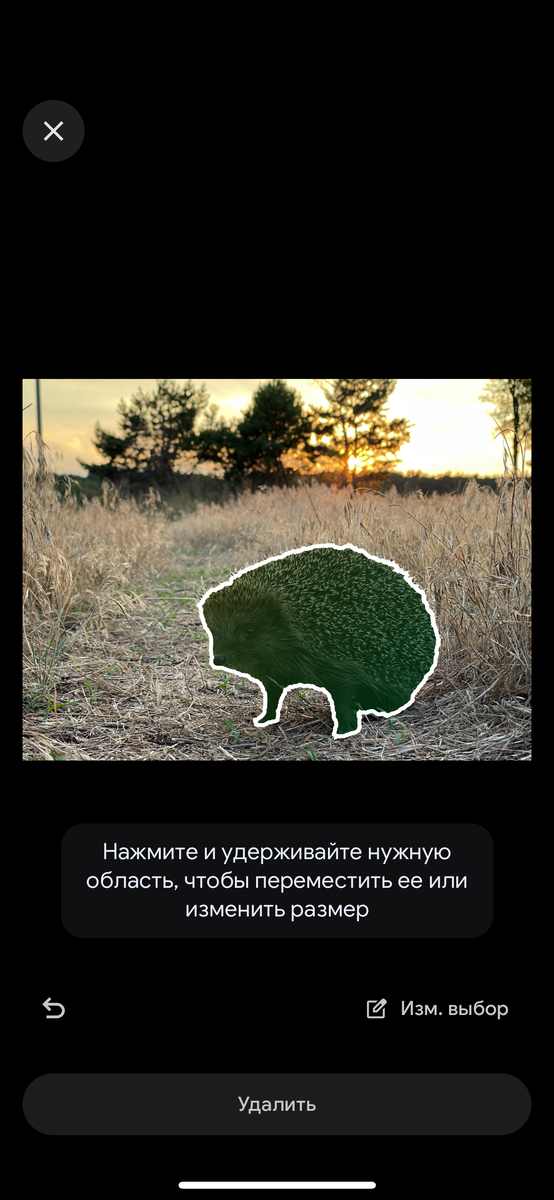 Листайте вправо, чтобы увидеть больше изображений