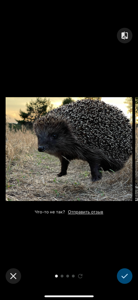Листайте вправо, чтобы увидеть больше изображений