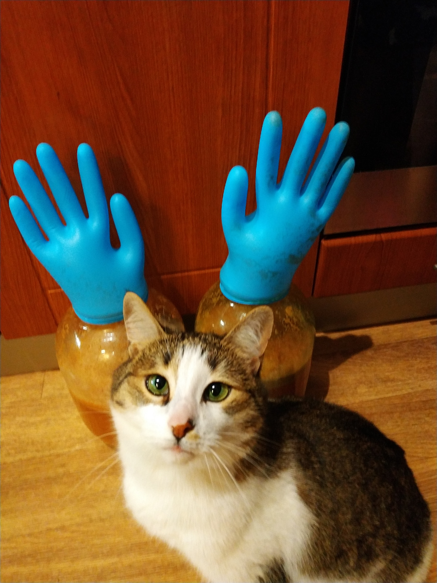 В ожидании  чуда 