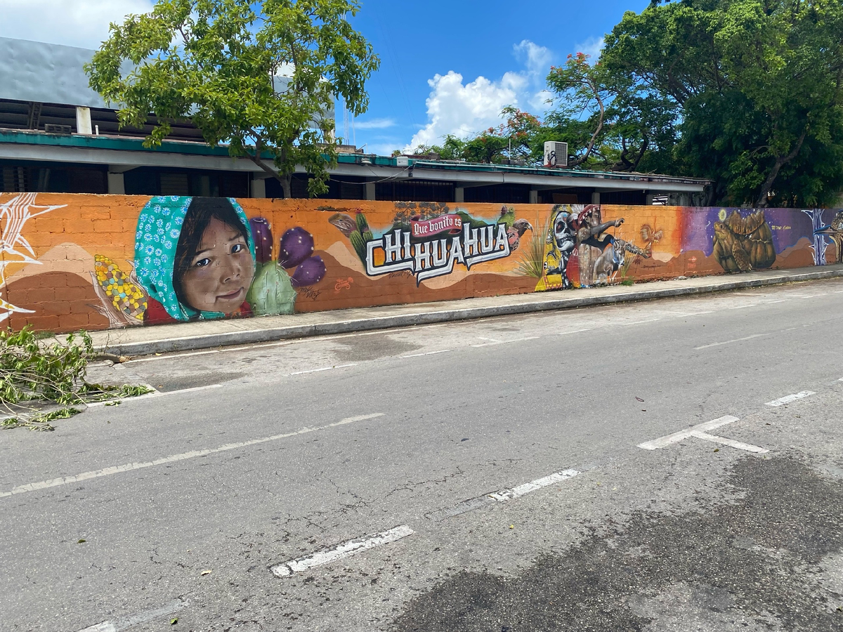 Плакат, посвященный Дню Мертвых (репрезентация штата Чиуауа) 