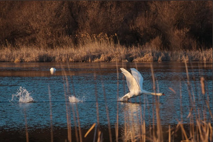 Фото Алексея Коверзнева
