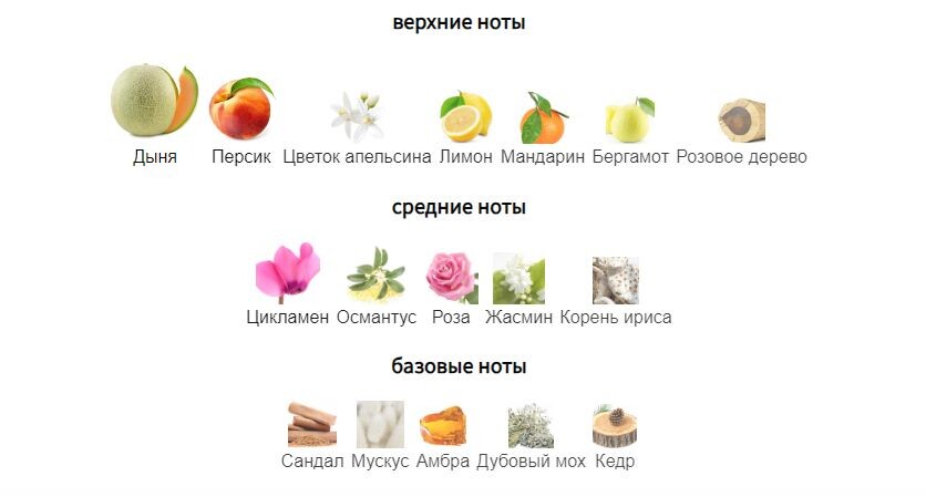 fragrantica.ru