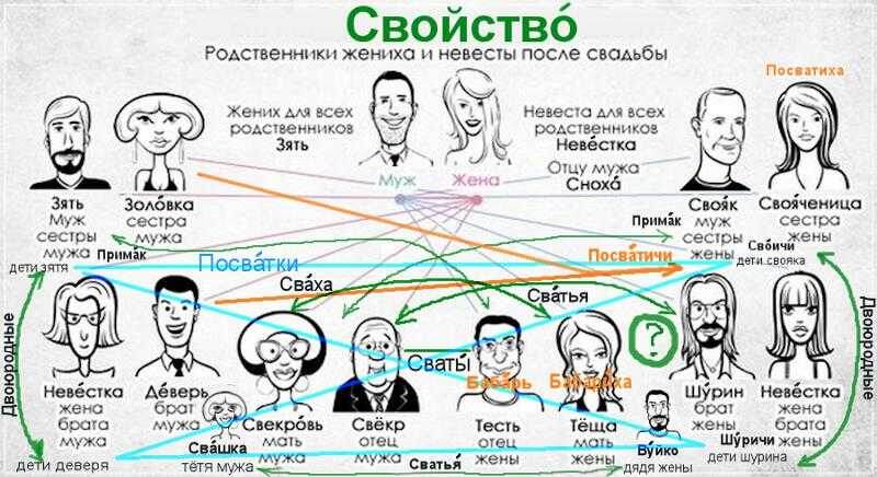 Кто приходится чувство. Жена брата для мужа сестры.
