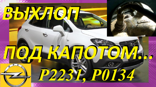 ОПЕЛЬ АНТАРА OPEL ANTARA ПРОБЛЕМЫ, ОШИБКИ Р2231, Р0134