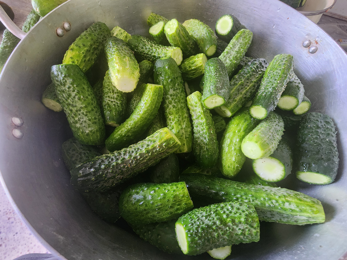 Фото из личного архива 