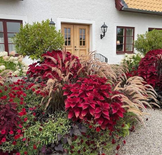 Самый простой ландшафтный дизайн: 5 лучших растений для начинающего садовода