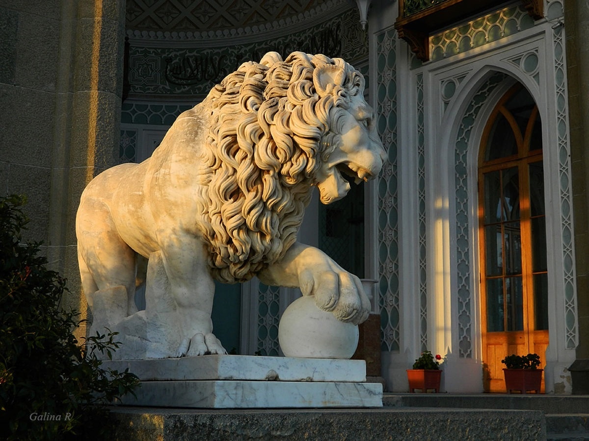 Фото из открытого источника 